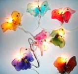 Butterfly_sml.jpg