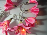 lily-pink_sml.jpg