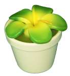 Frangipani Candle in Porcelain Plant Pot - Green