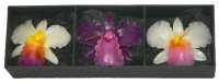 Orchid Candles Tri-coloured in Gift Box - Purple/White