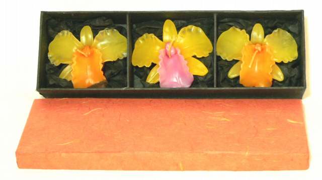Orchid Candles Tri-coloured in Gift Box - Green/Orange