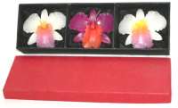 Orchid Candles Tri-coloured in Gift Box - Purple/Orange