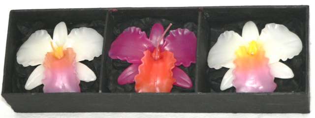 Orchid Candles Tri-coloured in Gift Box - Purple/Orange