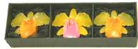 Orchid Candles Tri-coloured in Gift Box - Green/Orange