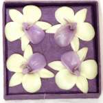 Four Orchid Floating Candles - White/Purple