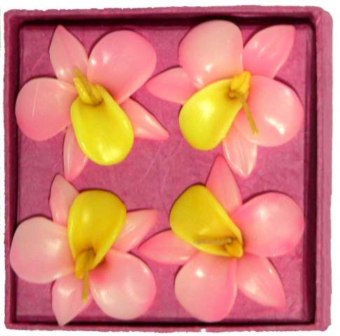 Four Orchid Floating Candles - Pink/Yellow