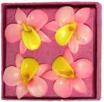 Four Orchid Floating Candles - Pink/Yellow