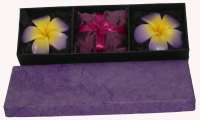 2 Floating Frangipani Decorative Candles & Potporri - Purple