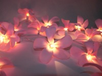 Pink Yellow Frangipani Flower - LONG lead 10 Metres 100 bulbs/decors fairy lights