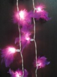 purple_sml.jpg