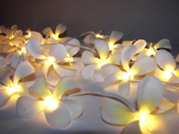 White Frangipani Style - LONG lead 10 Metres 100 lights LED fairy lights